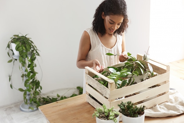 Belle femme souriante travaillant avec des plantes en boîte au lieu de travail Mur blanc.