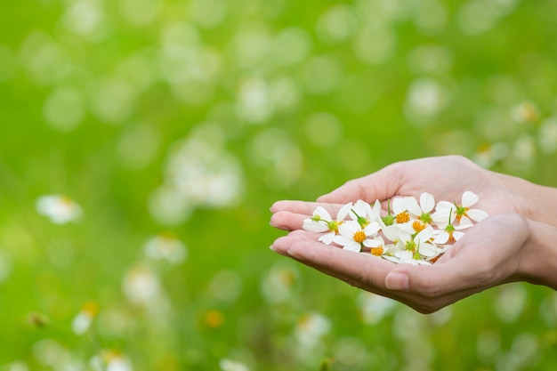 Photo gratuite belle femme vêtue d'une jolie robe blanche, debout et jouant dans un pré avec des fleurs blanches