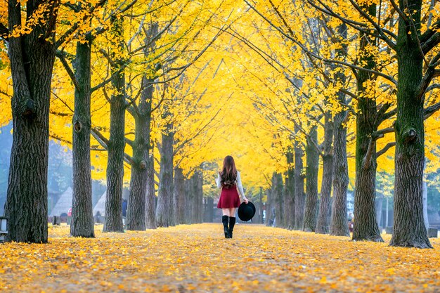 Belle fille aux feuilles jaunes sur l'île de Nami, en Corée.