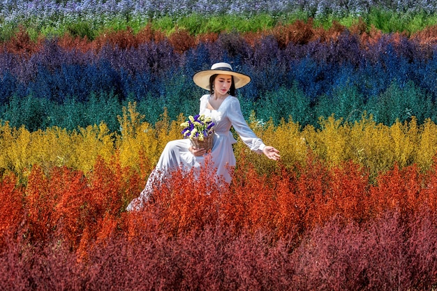 Photo gratuite belle fille en robe blanche assise dans les champs de fleurs arc-en-ciel cutter, chiang mai