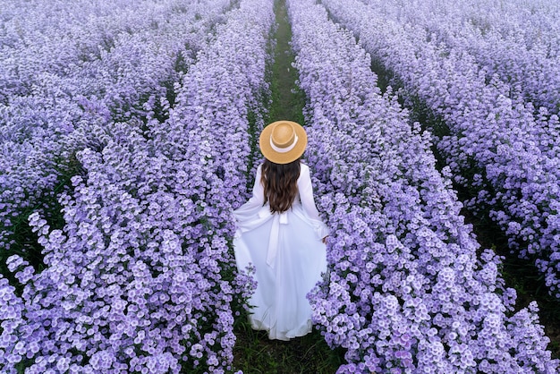 Photo gratuite belle fille en robe blanche marchant dans les champs de fleurs de margaret, chiang mai en thaïlande