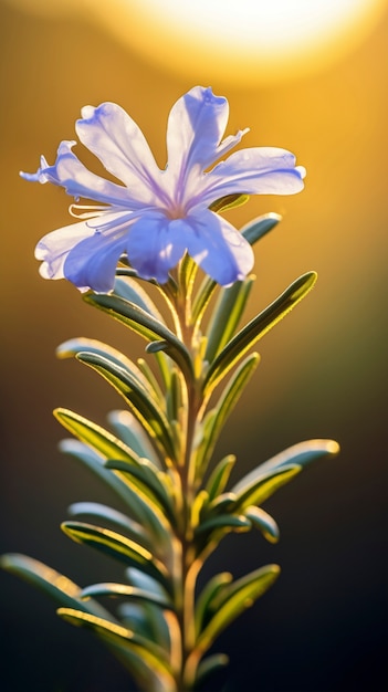 Photo gratuite une belle fleur dans la nature