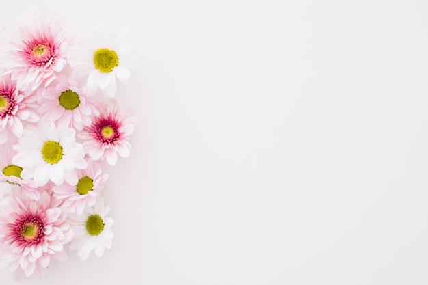 Belle fleurs et espace à droite