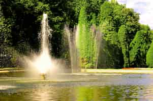 Photo gratuite belle fontaine avec des arbres à feuilles fond