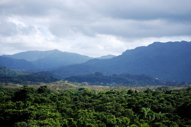 Belle forêt tropicale luxuriante et chaîne de montagnes à Porto Rico.