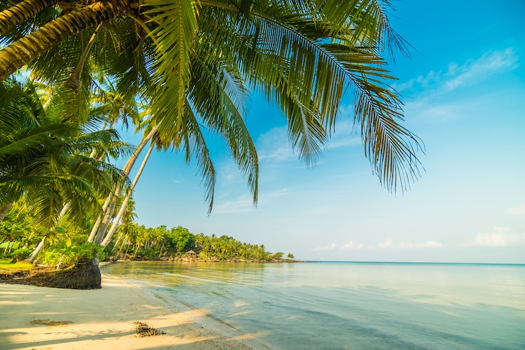 Photo gratuit belle île paradisiaque avec plage et mer