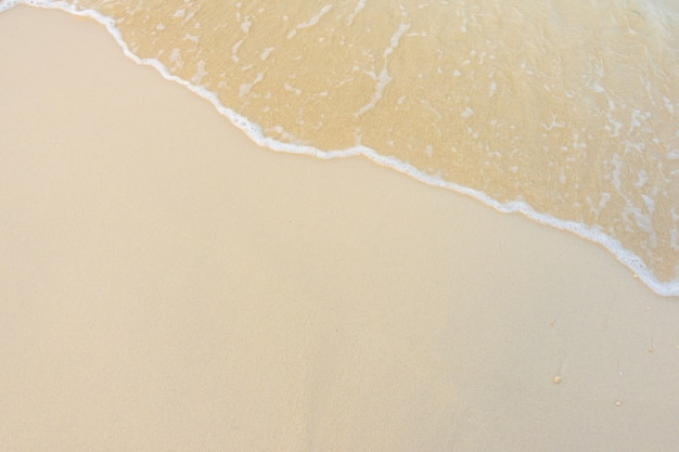 Belle île tropicale des Maldives avec plage de sable blanc et mer