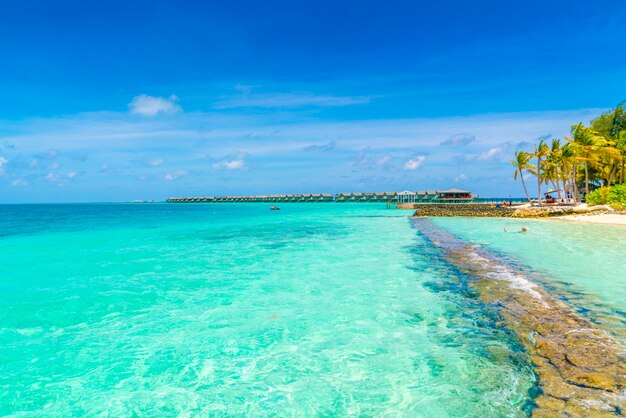 Belle île tropicale des Maldives avec plage de sable blanc et mer