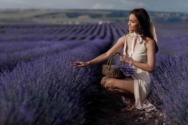 Photo gratuite belle jeune femme dans un champ de lavande