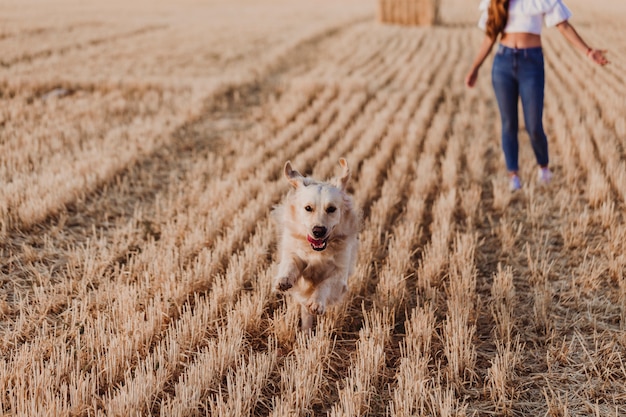 Sourire Chien Mignon Qui Tire La Langue Télécharger Des