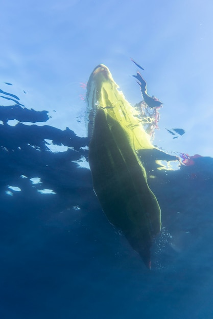 Belle jeune femme voyageant en canoë