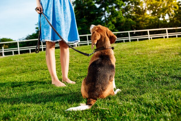 Belle jeune fille blonde marchant, jouant avec un chien beagle dans le parc.