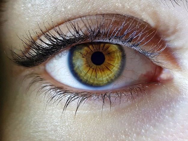 Belle macro closeup shot of female female's deep eyes