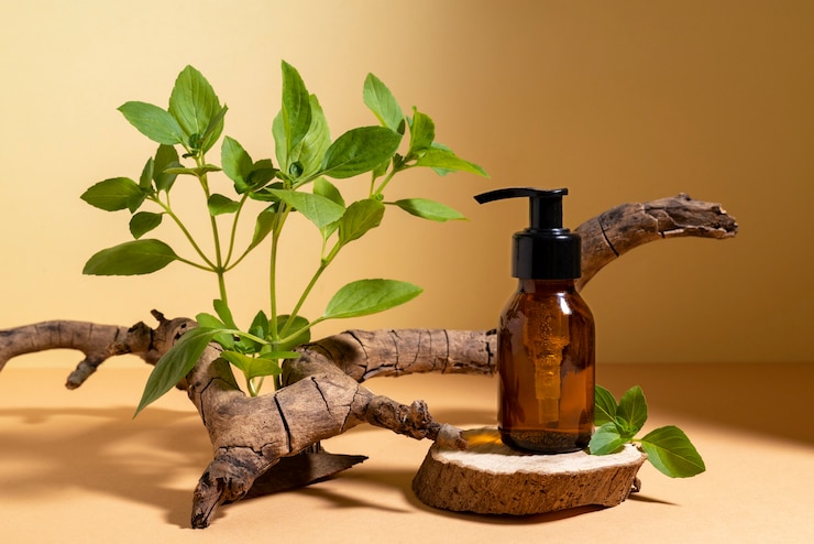 Photo gratuit belle nature morte avec phytothérapie