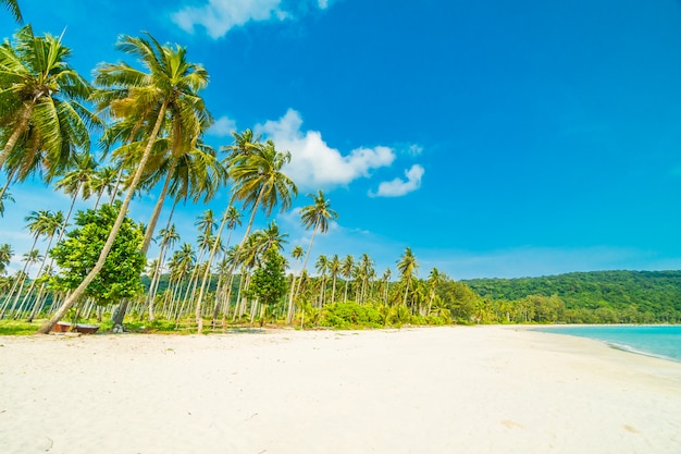 Belle nature plage tropicale