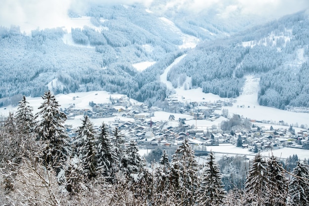 Belle photo aérienne de montagnes boisées couvertes de neige pendant la journée