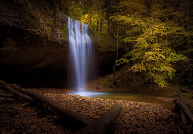 Belle photo d'une cascade entourée d'arbres d'automne et de feuilles dans une forêt