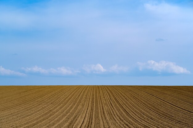 Belle photo d'un champ agricole fraîchement labouré sur un ciel bleu