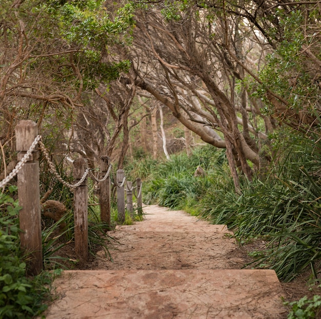 Belle photo d'un chemin d'escalier avec garde-corps en chaîne dans le parc