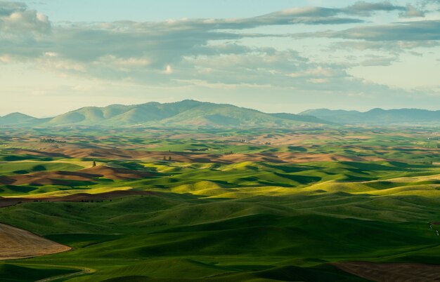 Belle photo de collines herbeuses et de montagne au loin