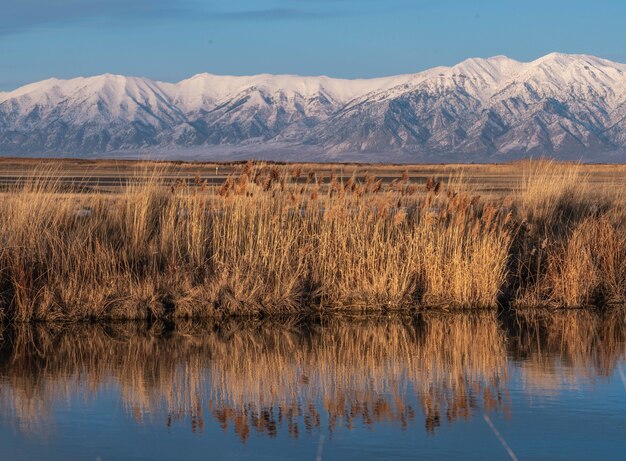 Belle photo du grand lac salé dans l'Utah