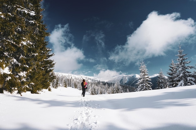 Belle photo d'une femme marchant dans les montagnes des Carpates enneigées entourées d'arbres en Roumanie