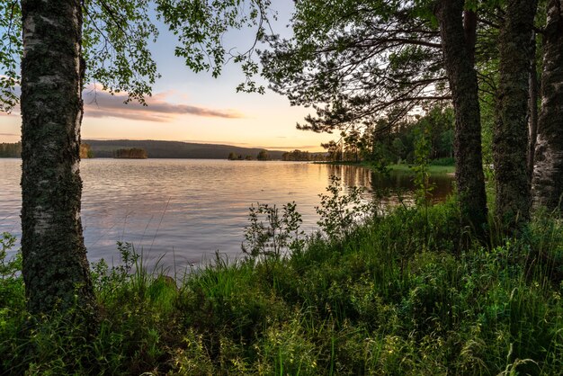 Belle photo d'un lac entouré d'arbres au coucher du soleil