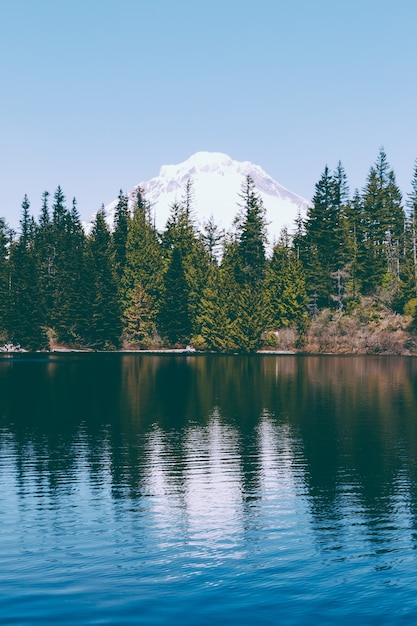 Photo gratuite belle photo d'un lac avec une forêt de pins et des reflets dans le lac