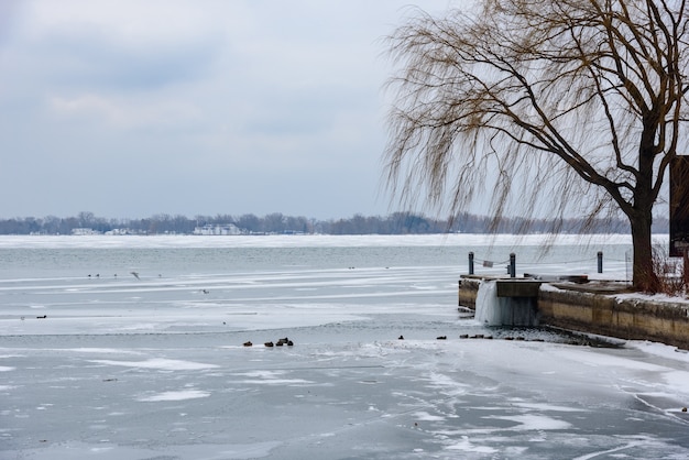 Belle photo d'un lac et d'une jetée en hiver, avec de l'eau gelée et des arbres morts pendant la journée