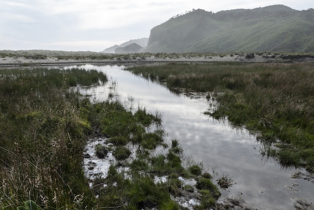 Belle photo d'un marais avec une montagne derrière