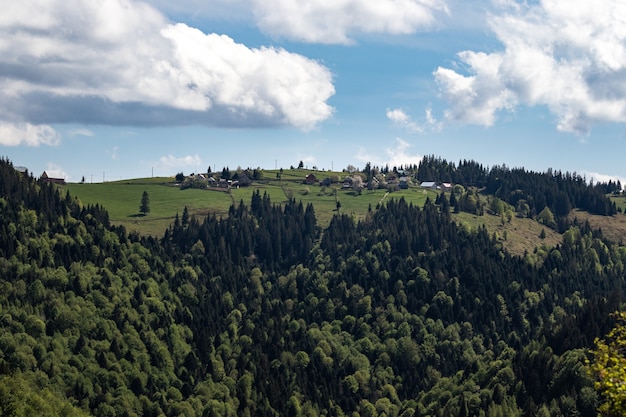 Belle photo d'une montagne boisée sous un ciel bleu