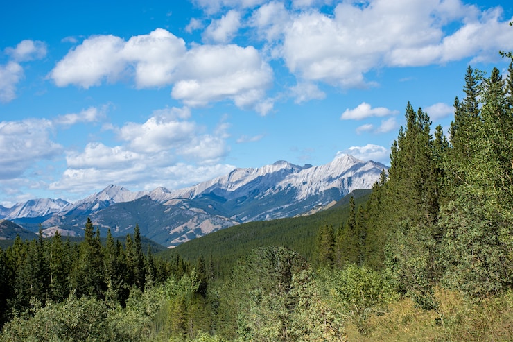Photo gratuit belle photo des montagnes rocheuses et des forêts verdoyantes pendant la journée