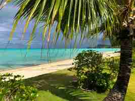 Photo gratuite belle photo d'une plage turquoise tropicale