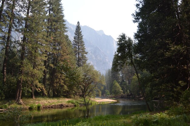 Belle photo d'une rivière au milieu des arbres avec une montagne