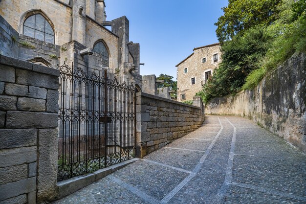 Belle photo d'une rue de la route au milieu des maisons et des arbres