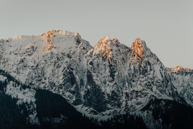 Belle photo de sommets enneigés sur la chaîne de montagnes Cascade à Washington