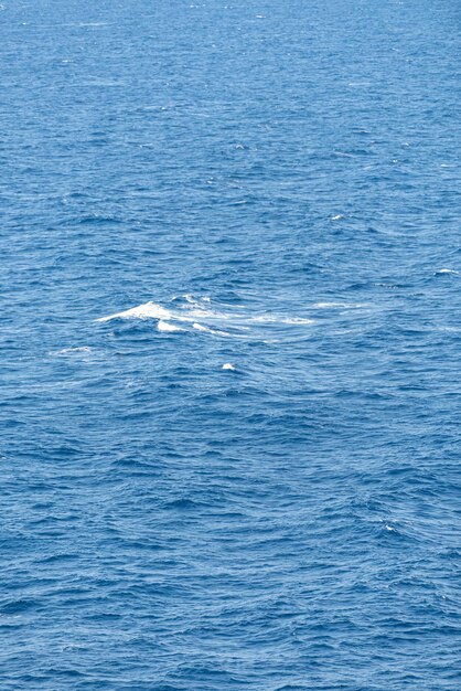 Photo gratuite belle photo des vagues de la mer