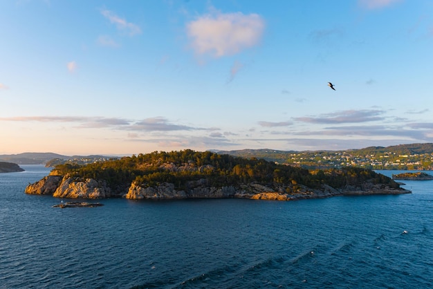 Photo gratuite une belle photo des vagues de la mer