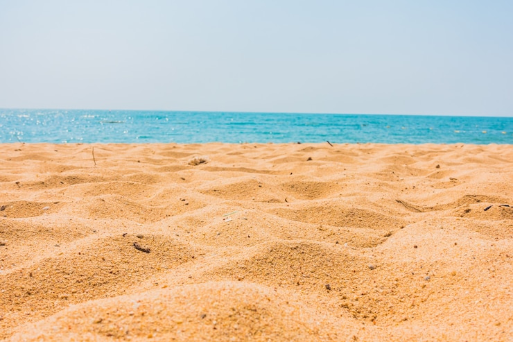 Photo gratuit belle plage et mer avec palmier