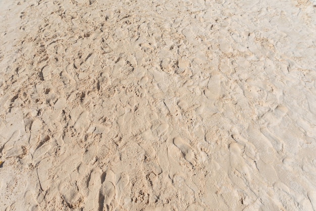 Belle plage de sable et empreintes de pas