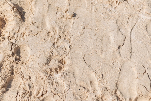Photo gratuite une belle plage de sable et des empreintes de pas