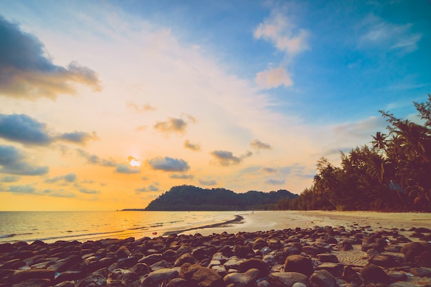 Belle plage tropicale et mer avec cocotier sur une île paradisiaque