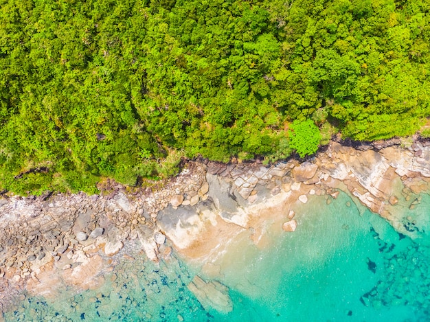 Belle plage tropicale et mer avec cocotier sur une île paradisiaque