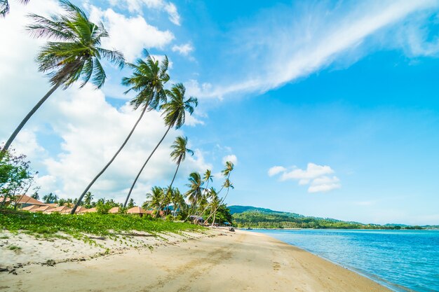 Belle plage tropicale et mer avec cocotier