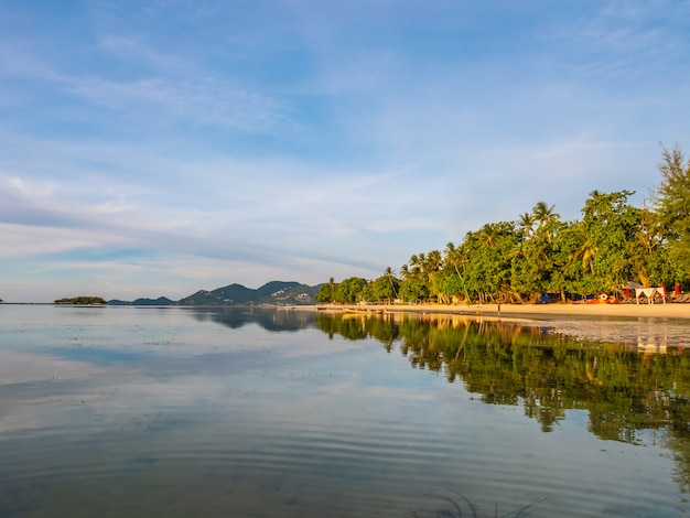 Belle plage tropicale et mer avec cocotier