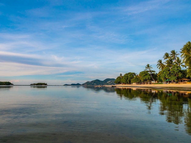 Belle plage tropicale et mer avec cocotier