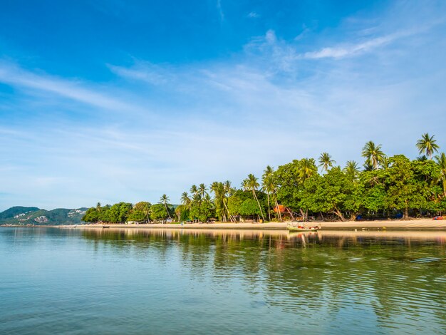 Belle plage tropicale et mer avec cocotier