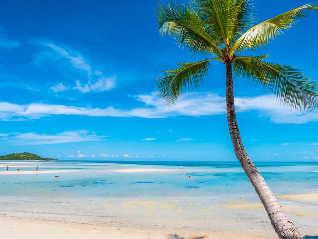 Belle plage tropicale et mer avec cocotier