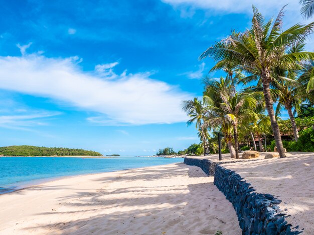 Belle plage tropicale et mer avec cocotier