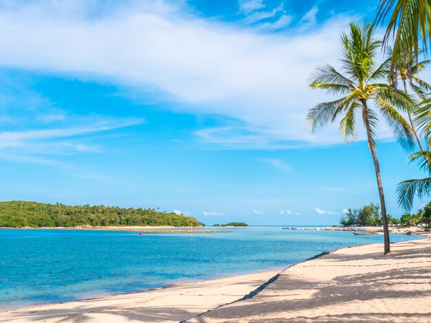 Belle plage tropicale et mer avec cocotier